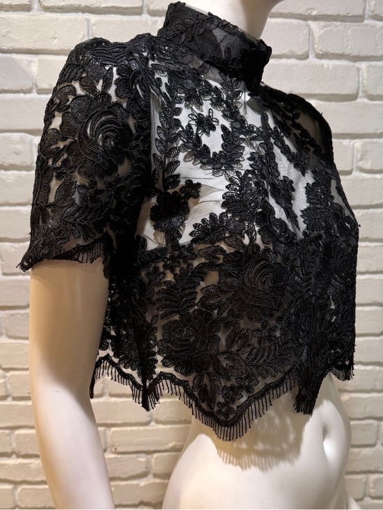 Stone Cold Fox Black Embroidered Lace Crop Top M Mock Neck Sheer Luxe NWOT - Picture 9 of 13